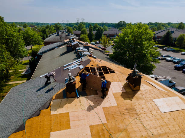 24/7 Emergency Roof Repair experts in Hornsby, TN